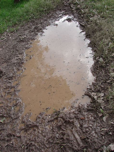 Exploring the Mysteries of a Muddy Waterway