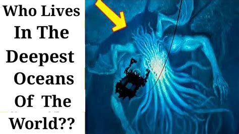 Exploring the Mysterious Depths: The Mariana Trench Expedition