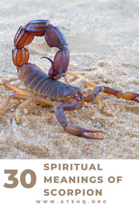 Exploring the Mystical Significance of Alabaster Scorpions