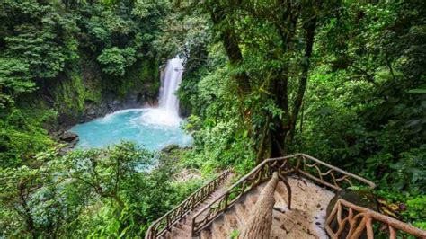 Exploring the Natural Treasures of Costa Rica