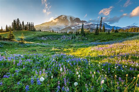 Exploring the Natural Treasures of the United States: National Parks and Scenic Routes