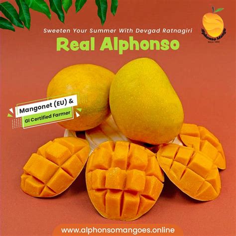 Exploring the Nutritional Advantages of Sunshine Mangoes