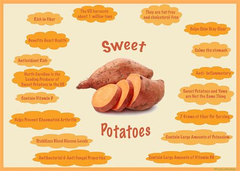 Exploring the Nutritional Advantages of Sweet Potato Peels