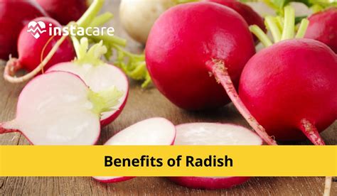 Exploring the Nutritional Benefits of Alabaster Radish