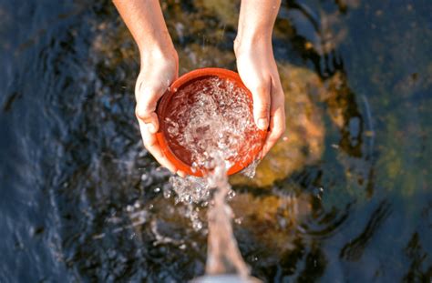 Exploring the Origins of Our Thirst for Pristine Aquatic Essence