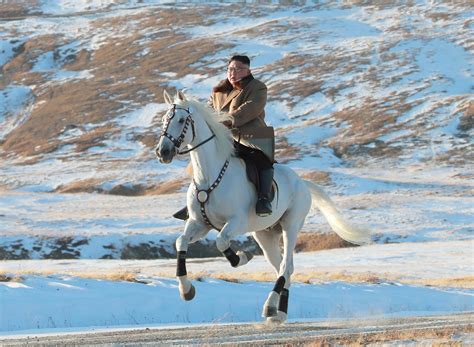 Exploring the Origins of White Horse Korean