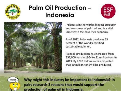 Exploring the Positive Impacts of Palm Kernel Oil on the Environment and Economy