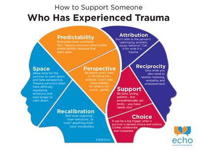 Exploring the Possible Impact of Trauma on Dream Content