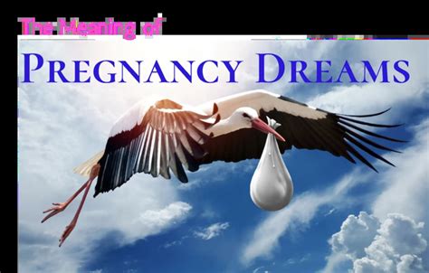 Exploring the Possible Interpretations Behind Dreams of Others Engaging in Pregnancy Testing