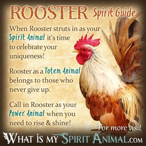 Exploring the Possible Positive and Negative Meanings of Grasping a Rooster in Your Dreams