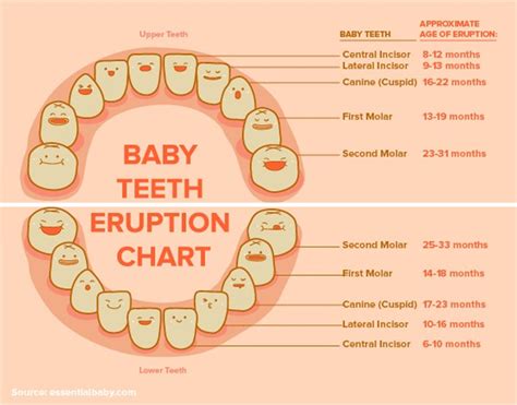 Exploring the Potential Negative Symbolism behind Dreaming of Developing Infant Teeth