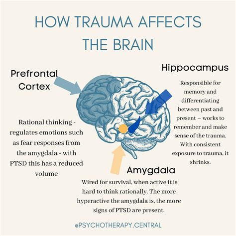 Exploring the Potential Trauma-related Explanations