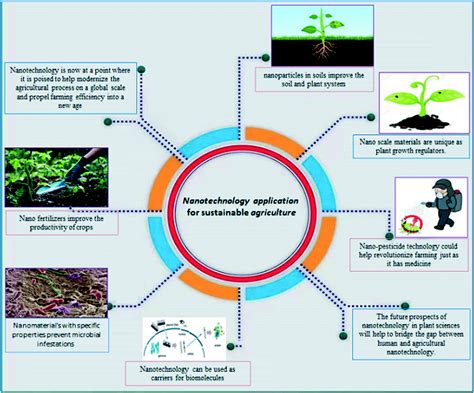 Exploring the Potential of Germination: Applications in Agriculture and Beyond