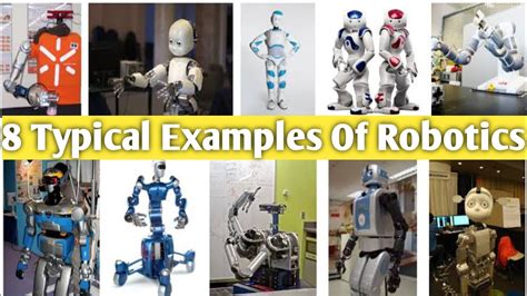 Exploring the Potential of Robots in Everyday Life