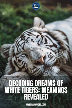 Exploring the Power and Might Associated with Tigers in Dreamscapes