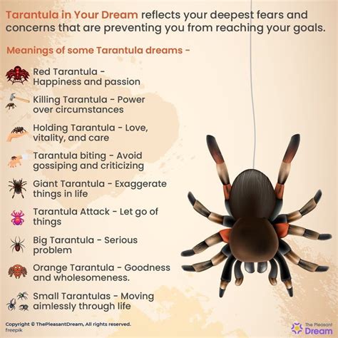 Exploring the Profound Psychological Significance of Tarantulas in Dream Symbols