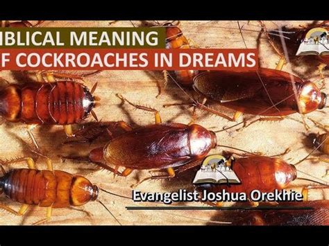 Exploring the Profound Significance: Cockroaches and their Symbolism in the Analysis of Dreams