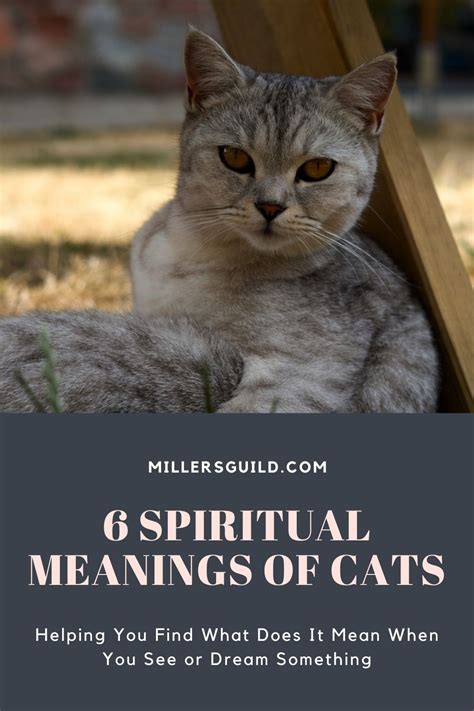 Exploring the Profound Symbolic Meanings Behind Cats and Their Eyes in Dreams