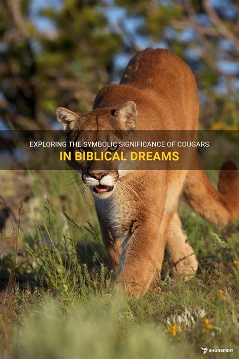 Exploring the Profound Symbolism of Cougar Encounters in Dreams