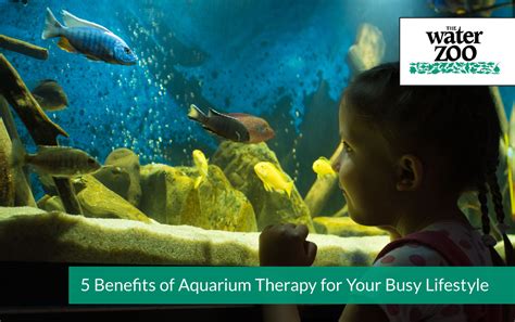 Exploring the Psychological Benefits of Aquarium Therapy