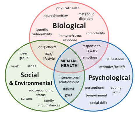 Exploring the Psychological Factors: Stress, Anxiety, and Emotional Health