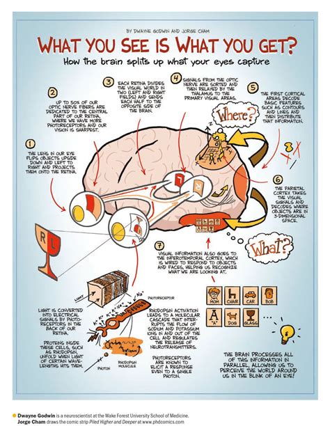 Exploring the Psychological Impact of the Vision