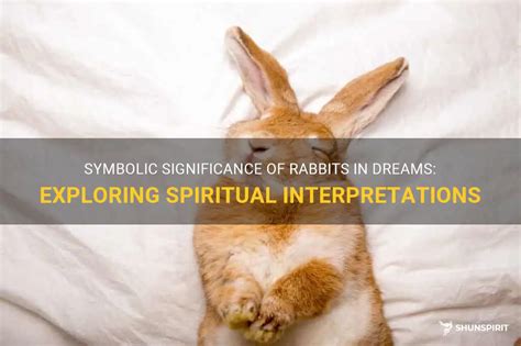 Exploring the Psychological Interpretations of Dreams Involving Rabbit Urination