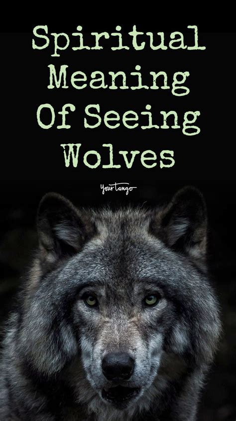 Exploring the Psychological Meaning Behind Dreams of Shooting a Wolf