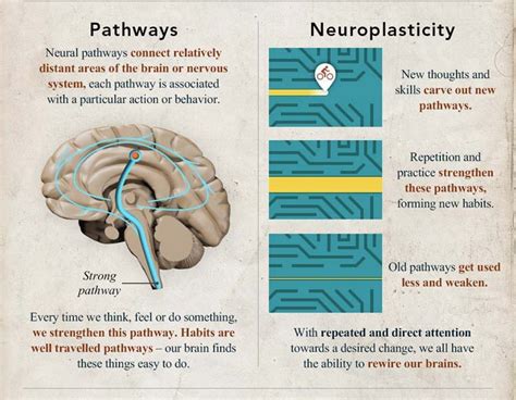 Exploring the Psychological Meaning Behind Obstructed Pathways