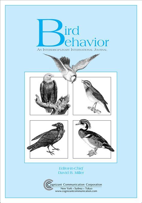 Exploring the Psychological Perspective on Avian Hunting