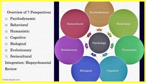 Exploring the Psychological Perspectives on Deciphering the Meaning of the Disturbing Vision