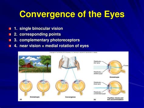 Exploring the Psychological Significance of Constricted Mandible Visions