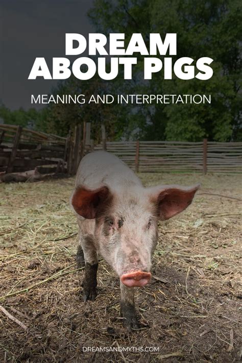 Exploring the Psychological Significance of Pig Dreams within the Korean Cultural Context