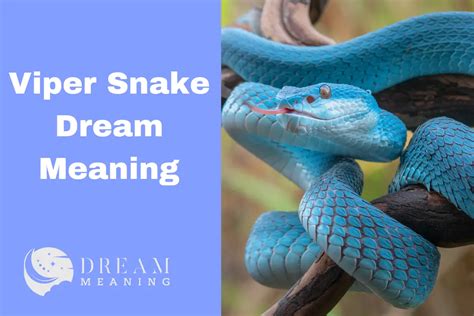 Exploring the Psychological Significance of Viper Snake Dreams