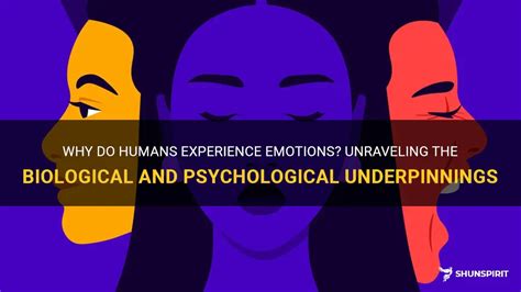 Exploring the Psychological Underpinnings: Insights into our Emotional State