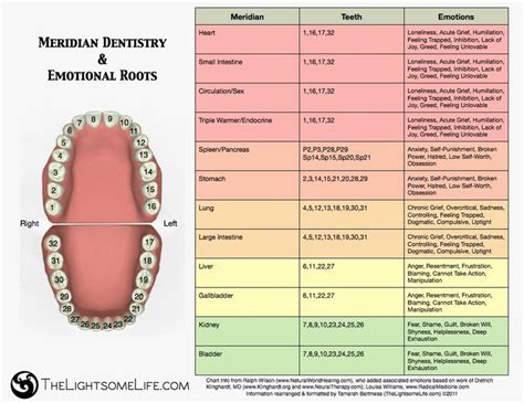 Exploring the Range of Emotions Associated with Tooth-related Dreams