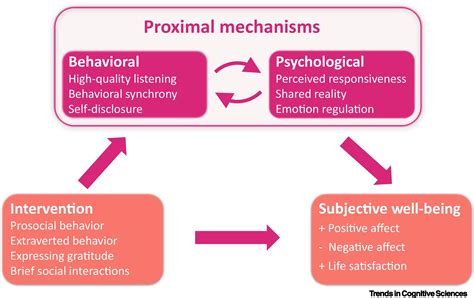 Exploring the Relationship Between Lengthy Stool Fantasies and Emotional Well-being: Linking Our Subconscious Thoughts