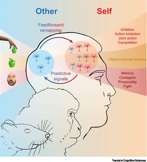 Exploring the Relevance of Dreaming about the Need for Glasses and Its Connection to Self-Perception