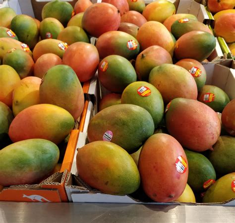 Exploring the Rich Variety of Mangoes