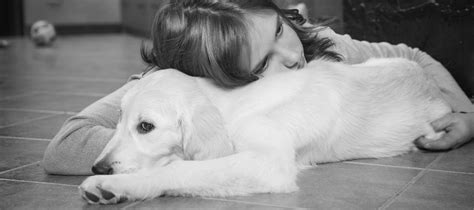 Exploring the Role of Canine Memories in Coping with Grief