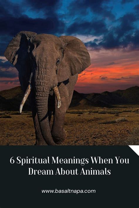 Exploring the Sacred Connection: Animal Dreams and Spirituality