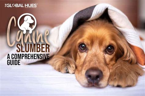 Exploring the Scientific Explanation Behind Canine Slumber