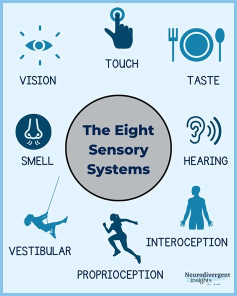 Exploring the Senses: Uncovering the Role of Other Sensory Experiences in the Dreams of Individuals with Visual Impairments