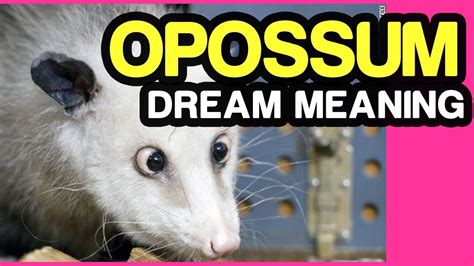 Exploring the Significance and Interpretation of the Possum Bite