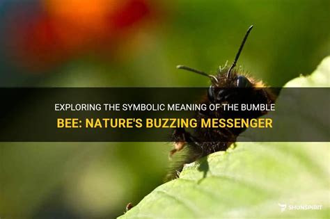 Exploring the Significance of Bumble Bees in Nature and their Symbolic Representation