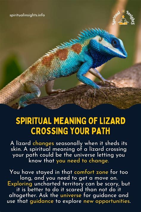 Exploring the Significance of Conversing Lizards in Spiritual Awakening