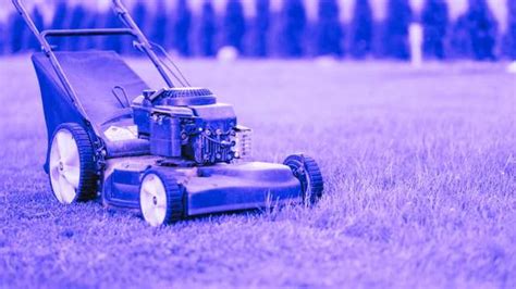 Exploring the Significance of Dreaming About Mowing a Lawn