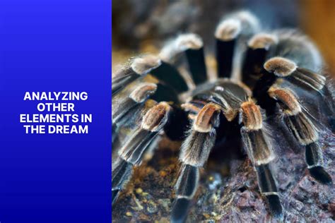 Exploring the Significance of Losing a Tarantula in a Dream: A Catalyst for Transformation?