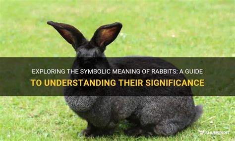 Exploring the Significance of Rabbits in Various Cultures