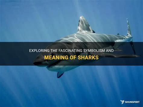 Exploring the Significance of Shark Symbolism